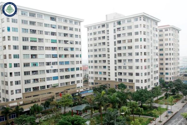 Tải mẫu 05 kê khai thu nhập để thuê mua nhà ở xã hội ban hành kèm theo Thông tư 05/2024/TT-BXD
