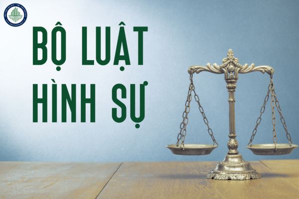File toàn văn dự thảo Bộ luật Hình sự sửa đổi 2025