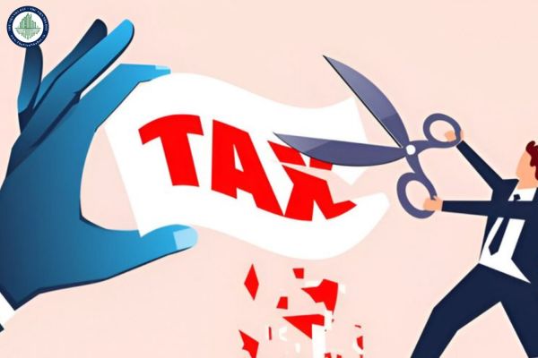 Phụ lục danh mục hàng hoá, dịch vụ không được giảm thuế GTGT 8% 2025