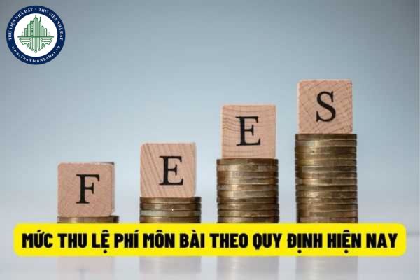 Mức thu lệ phí môn bài đối với doanh nghiệp, hộ kinh doanh hiện nay là bao nhiêu? Mẫu tờ khai lệ phí môn bài được quy định thế nào?