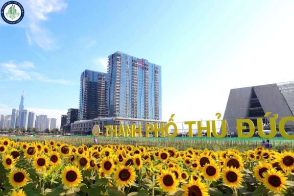 Cho thuê phòng trọ tại TP Thủ Đức mới nhất Tháng 8/2025	