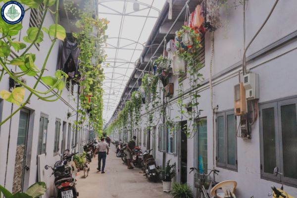 Cho thuê phòng trọ Quận 3 Nguyễn Thiện Thuật mới nhất T8/2025