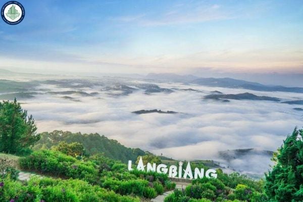 Bản đồ du lịch Đà Lạt chi tiết? Gợi ý địa điểm thuê Homestay gần các điểm du lịch tại TP Đà Lạt
