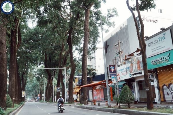 Cho thuê phòng trọ Quận 3 giá dưới 3 triệu mới nhất T8/2025