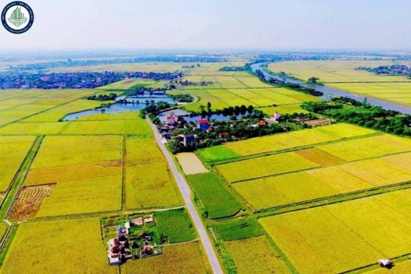 Bảng giá đền bù đất nông nghiệp Hưng Yên 2025