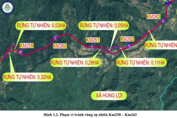 Tiến độ Đường Hồ Chí Minh đoạn Chợ Chu Ngã ba Trung Sơn mới nhất 