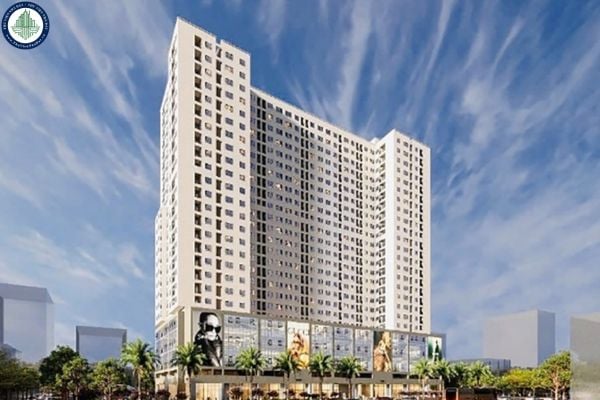 Mặt bằng căn hộ nhà ở xã hội Hạ Đình chi tiết