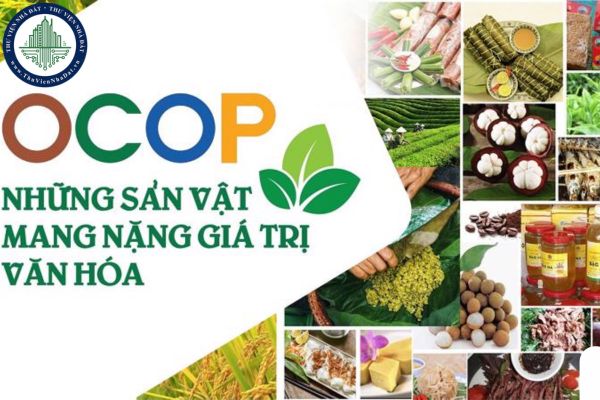 Trong Chương trình OCOP việc tổ chức sản xuất gắn với phát triển vùng nguyên liệu đặc trưng được thực hiện như thế nào?