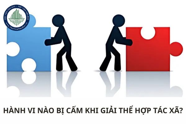 Hành vi nào bị cấm khi giải thể hợp tác xã?