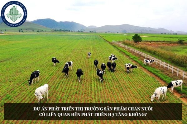 Dự án phát triển thị trường sản phẩm chăn nuôi có liên quan đến phát triển hạ tầng không?