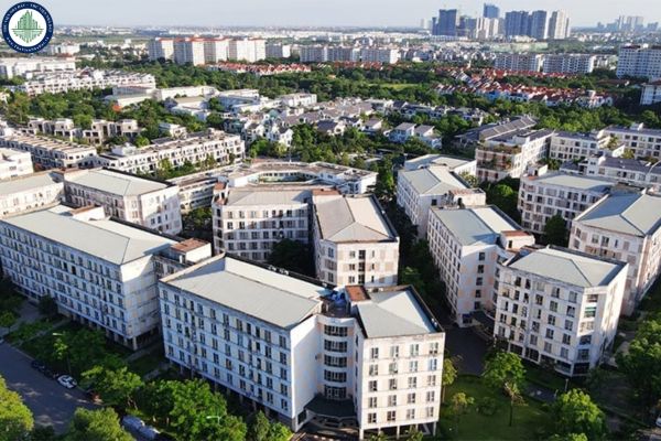 Tải Phụ lục II Nghị định 100/2024/NĐ-CP đơn đăng ký thuê nhà ở xã hội