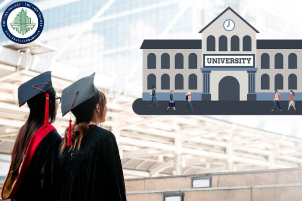 Chương trình đào tạo của giáo dục đại học được quy định như thế nào?