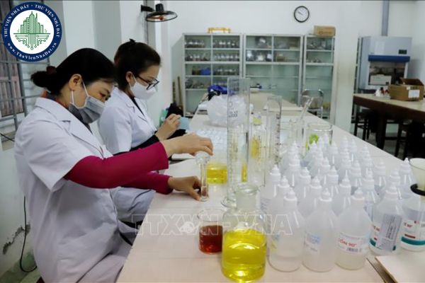 Giảng viên đại học được cử ra nước ngoài nghiên cứu khoa học có quyền và nghĩa vụ nào?