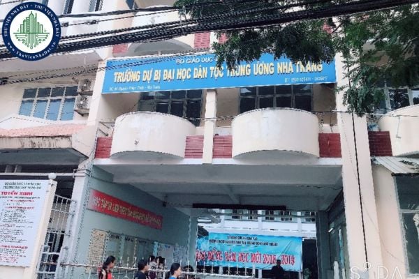 Quyền hạn và trách nhiệm của trường dự bị đại học được quy định ra sao?