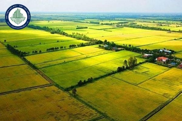 Tải file word mẫu 01/MGTH đơn đề nghị miễn giảm thuế sử dụng đất nông nghiệp từ 14/10/2025