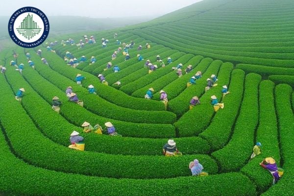 https://cdn.thuviennhadat.vn//upload/hinh-anh-bai-viet/TTR/thang-10-2025/25/bang-gia-dat-nong-nghiep-son-la-2026.jpg