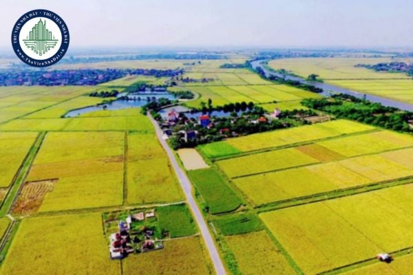 https://cdn.thuviennhadat.vn//upload/hinh-anh-bai-viet/TTR/thang-10-2025/28/bang-gia-nong-nghiep-tay-ninh-2026.jpg