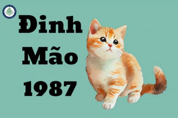 Đinh Mão 1987 năm 2025 sao gì? Tử vi Đinh Mão 1987 có thích hợp để mua đất Thái Nguyên không?