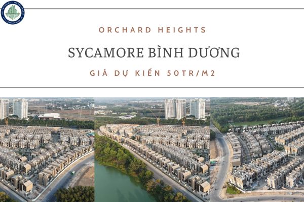 Orchard Heights giá dự kiến 50tr/m2 thông tin chi tiết về phân khu căn hộ đầu tên Tại Sycamore Bình Dương