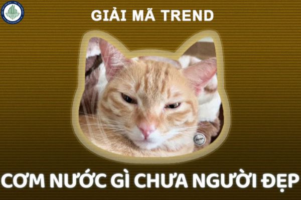 Trend cơm nước gì chưa người đẹp bắt nguồn từ đâu? Những yếu tố nào tác động đến thị trường đất huyện Trạm Tấu Yên Bái