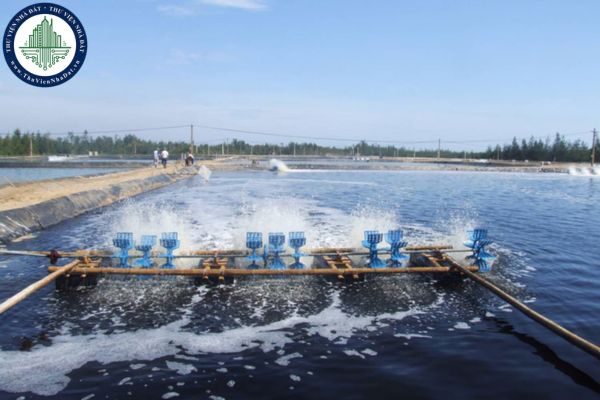 Trách nhiệm của các chủ thể khi khai thác tài nguyên nước cho sản xuất nông nghiệp như thế nào?
