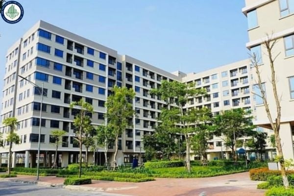 Hướng dẫn điền Đơn đăng ký thuê, thuê mua nhà ở xã hội Hà Nội chi tiết