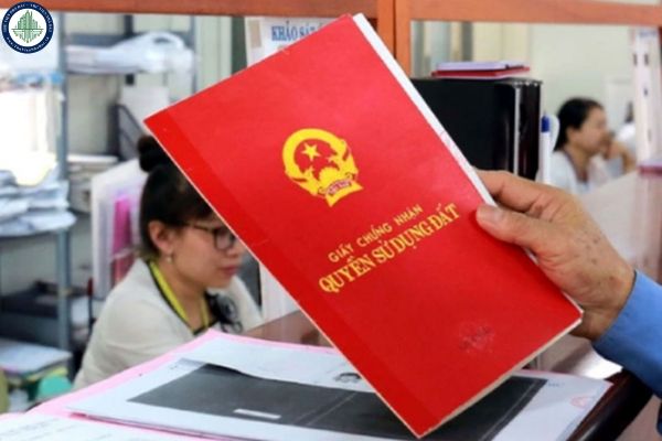 thuviennhadat.vn