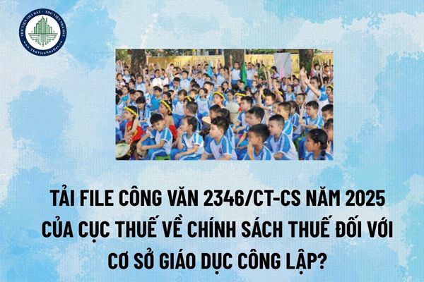 Tải file Công văn 2346/CT-CS năm 2025 của Cục Thuế về chính sách thuế đối với cơ sở giáo dục công lập? (Hình từ Internet)