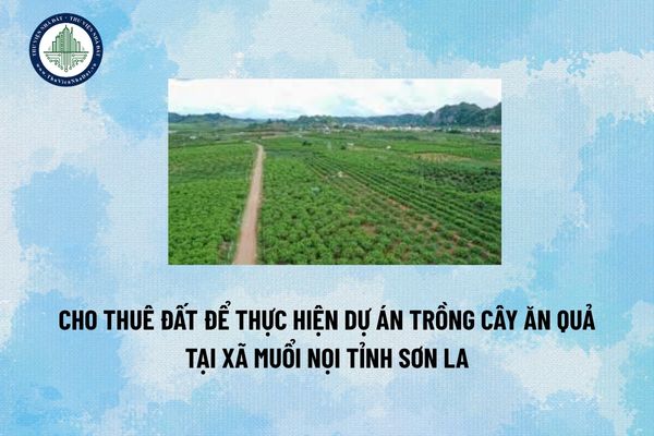 Cho thuê đất để thực hiện dự án Trồng cây ăn quả tại xã Muổi Nọi tỉnh Sơn La
