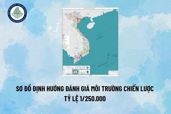 Sơ đồ định hướng đánh giá môi trường chiến lược quy hoạch hệ thống đô thị và nông thôn tỷ lệ 1/250.000 (Hình từ Internet)