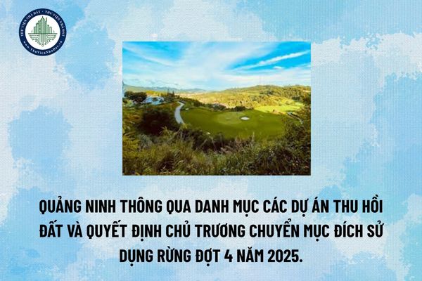 Quảng Ninh thông qua danh mục các dự án thu hồi đất và quyết định chủ trương chuyển mục đích sử dụng rừng đợt 4 năm 2025. (Hình từ Internet)
