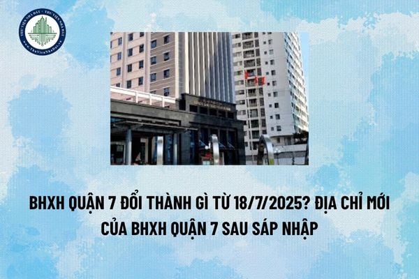 BHXH Quận 7 đổi thành gì từ 18/7/2025? Địa chỉ mới của BHXH Quận 7 sau sáp nhập 