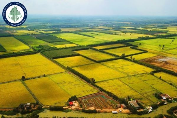 https://cdn.thuviennhadat.vn//upload/hinh-anh-bai-viet/VTV/thang-10-2025/23/tai-file-du-thao-bang-gia-dat-2026-phuong-binh-minh-tinh-tay-ninh.jpg