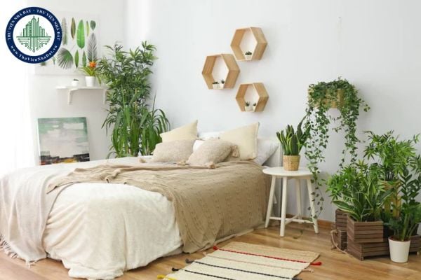 Top 7 loại cây đặt trong phòng ngủ giúp giấc ngủ ngon hơn