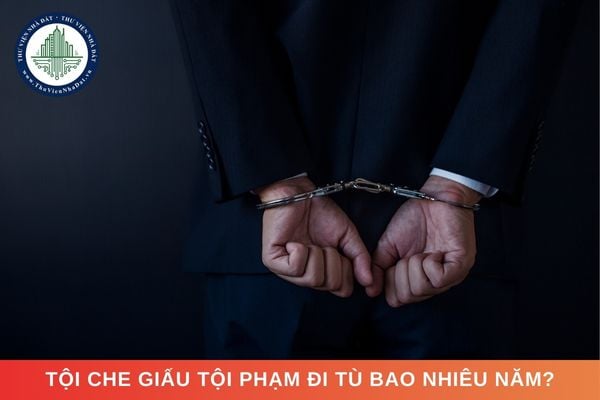 Tội che giấu tội phạm đi tù bao nhiêu năm?