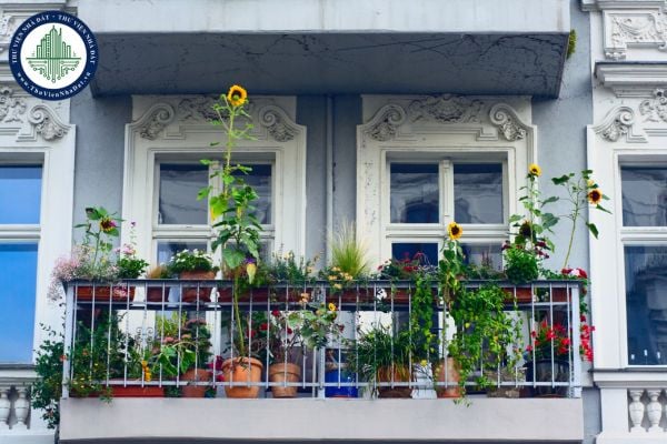 Chọn cây trồng ban công hợp phong thủy nhà ở? Cách chăm sóc cây trồng ban công