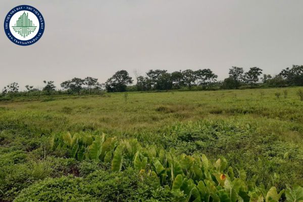 Hà Nội giao đất cho huyện Phú Xuyên làm hạ tầng 2 khu đấu giá đất ở