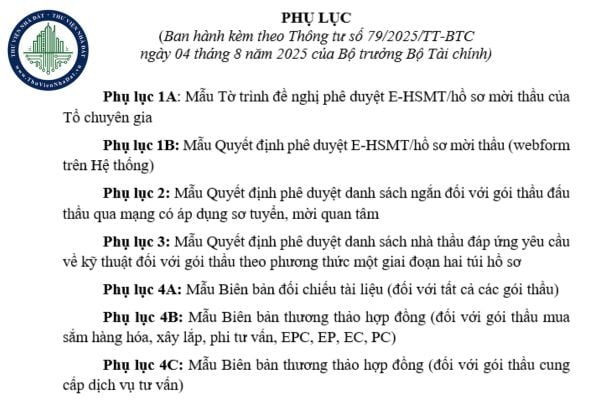 Tải file word phụ lục Thông tư 79/2025/TT-BTC đấu thầu qua mạng từ 04/8/2025