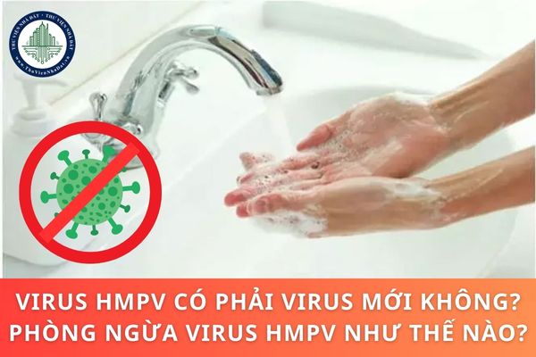 Virus HMPV có phải virus mới không? Phòng ngừa virus HMPV như thế nào?