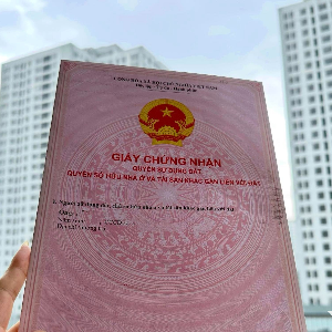 Trúc Đào Nhà Đất
