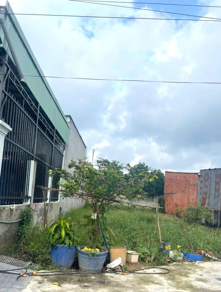 Chính chủ bán lô đất Bến Than, Tân Thạnh Đông, Củ Chi, 163m², sổ hồng riêng, giá 780 triệu