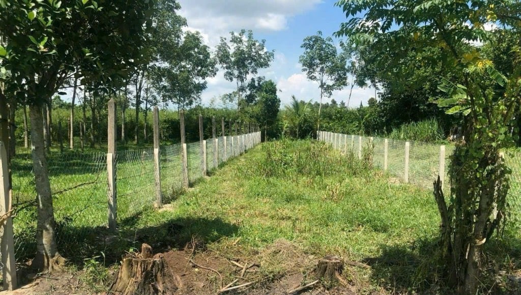 BÁN ĐẤT PHƯỚC HIỆP CỦ CHI, DT 264m2, ĐẤT CÓ THỔ PHÙ HỢP LÀM VƯỜN, XÂY NHÀ VƯỜN