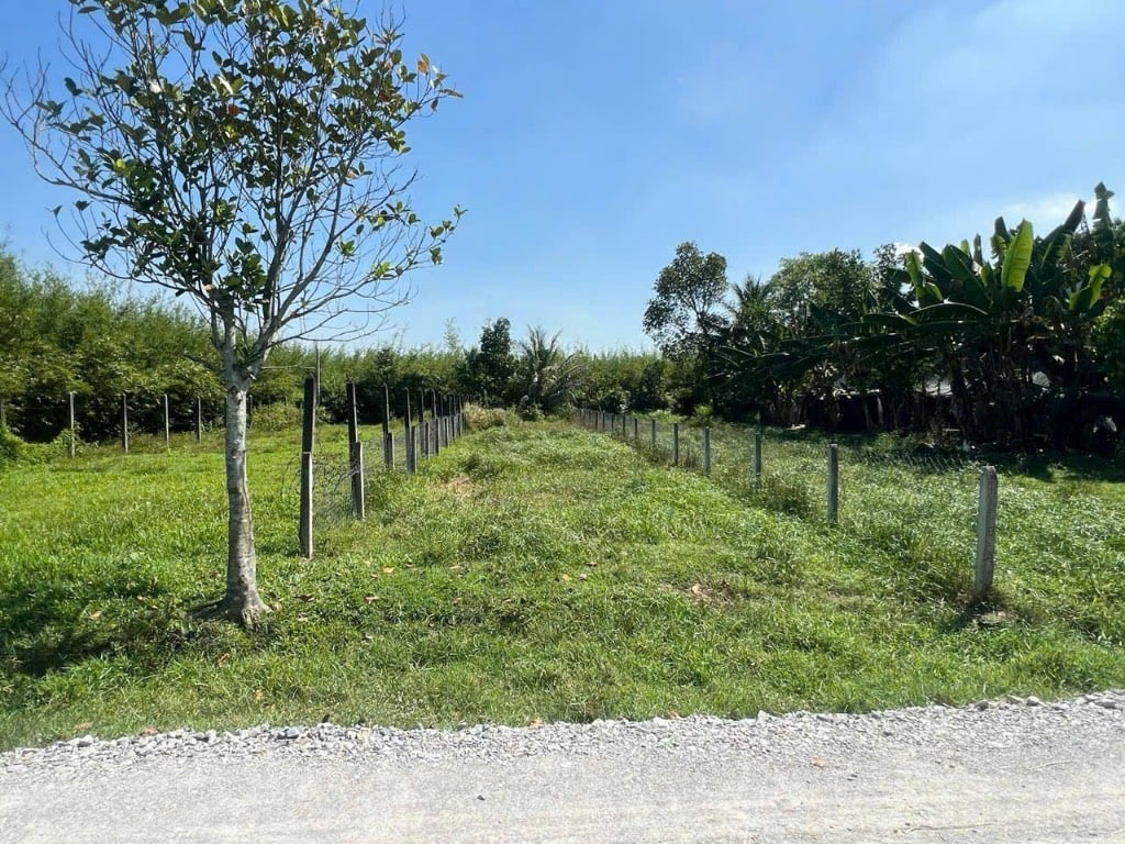 BÁN ĐẤT PHƯỚC HIỆP 264m2 - (6x44) GIÁ 550tr THƯƠNG LƯỢNG. ĐẤT CÓ THỔ PHÙ HỢP LÀM VƯỜN, XÂY NHÀ VƯỜN