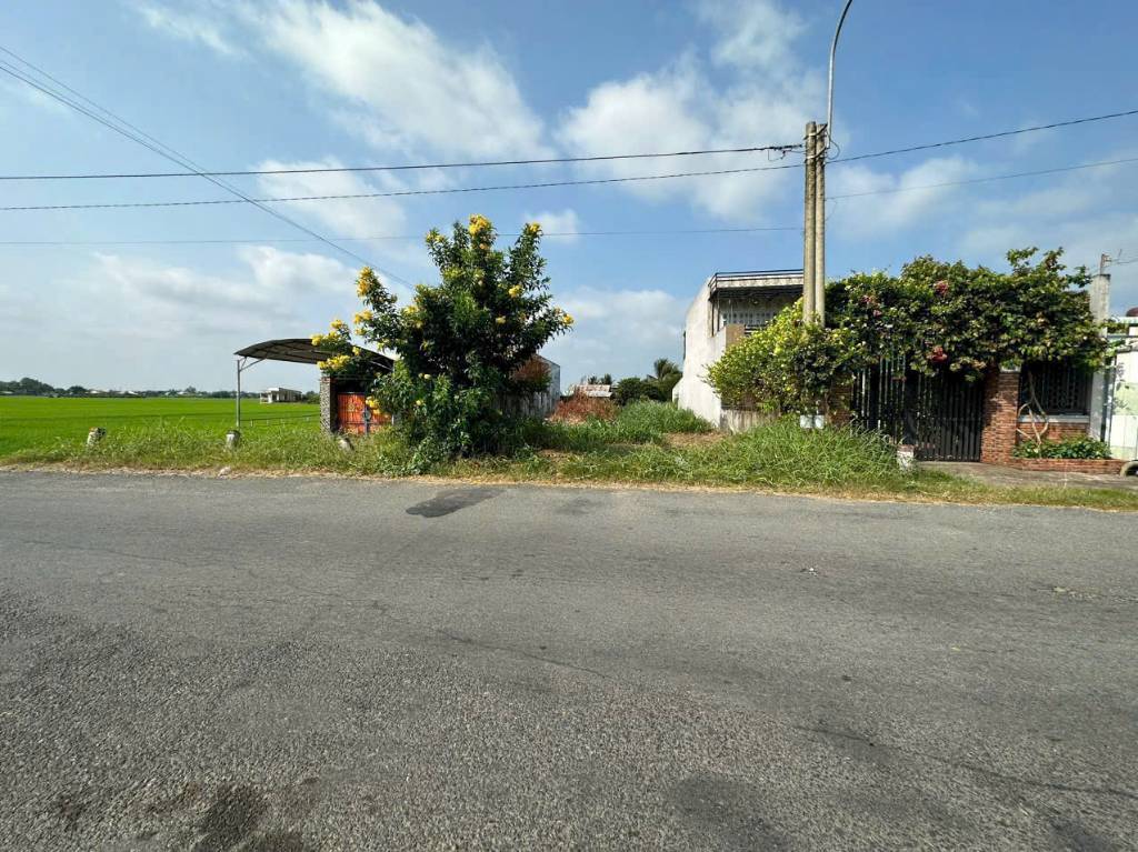 Bán đất mặt tiền Cao Thị Mai, xã Bình Trinh Đông , Tân Trụ dt 195,5m2 full thổ giá 1,468 tỷ