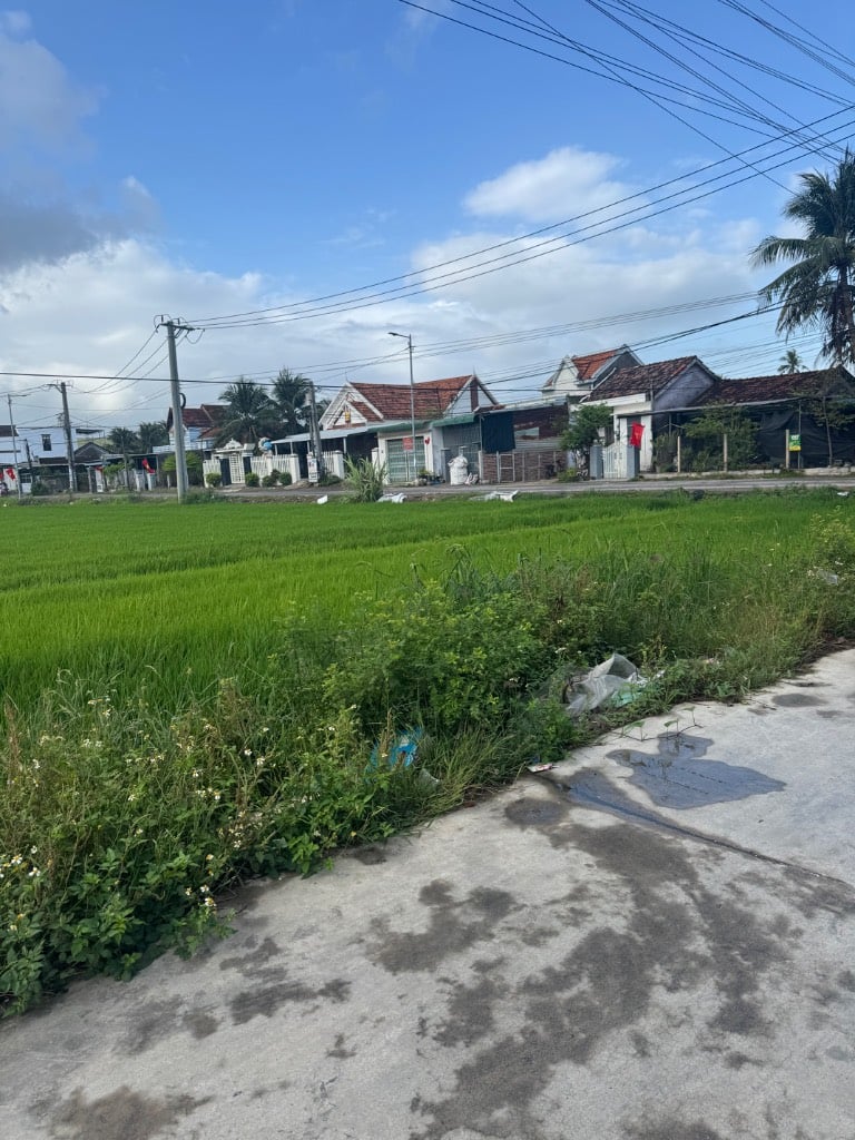 Bán đất Hòn Hèo, Khánh Hòa, 135m2 vị trí tiềm năng, sổ sẵn, giá chỉ 810 triệu