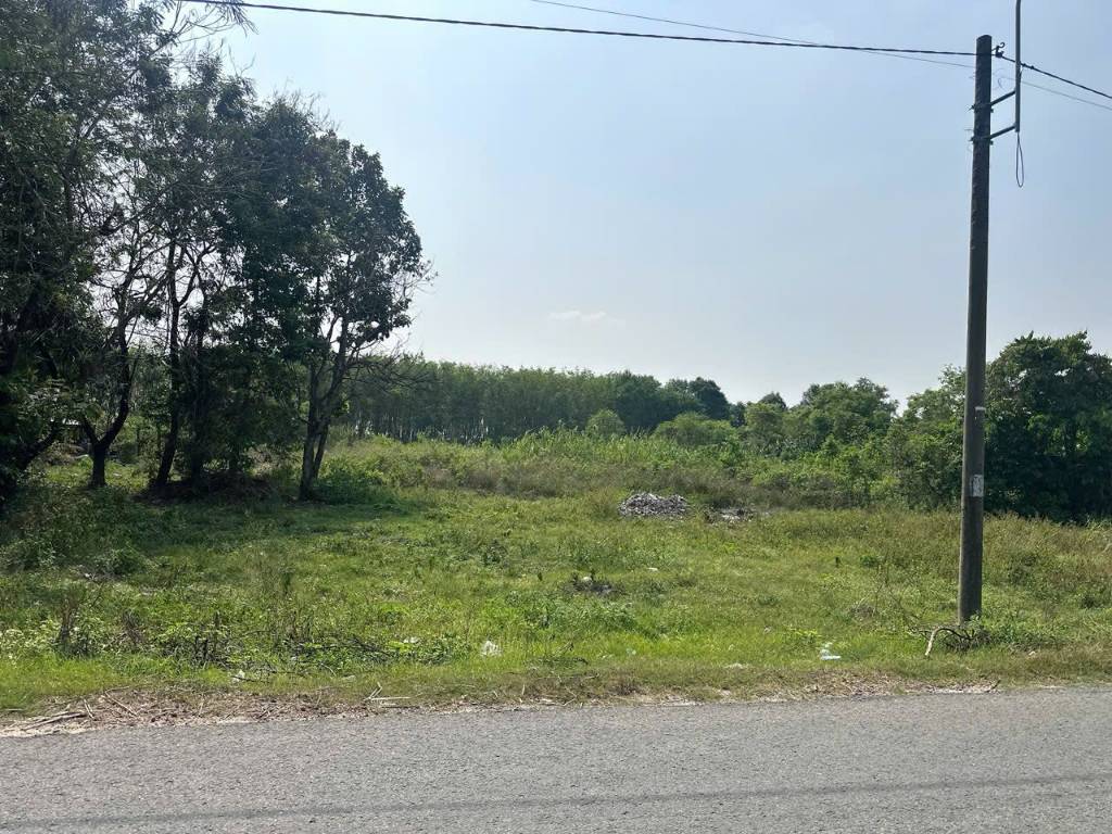 Chính chủ bán lô đất 1/đường Tỉnh Lộ 2 gần BV Xuyên Á, ngang 5x23m full thổ, giá ngộp 1.25 tỷ