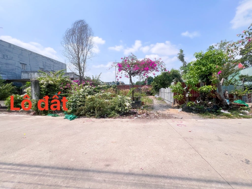 thuviennhadat.vn