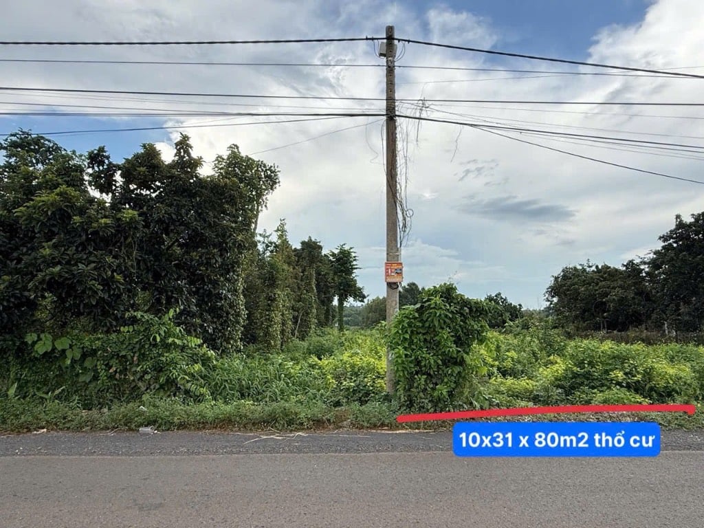 - Góc 2 mặt tiền đường 21 , Suối Nghệ ( Ngãi Giao, TP HCM )