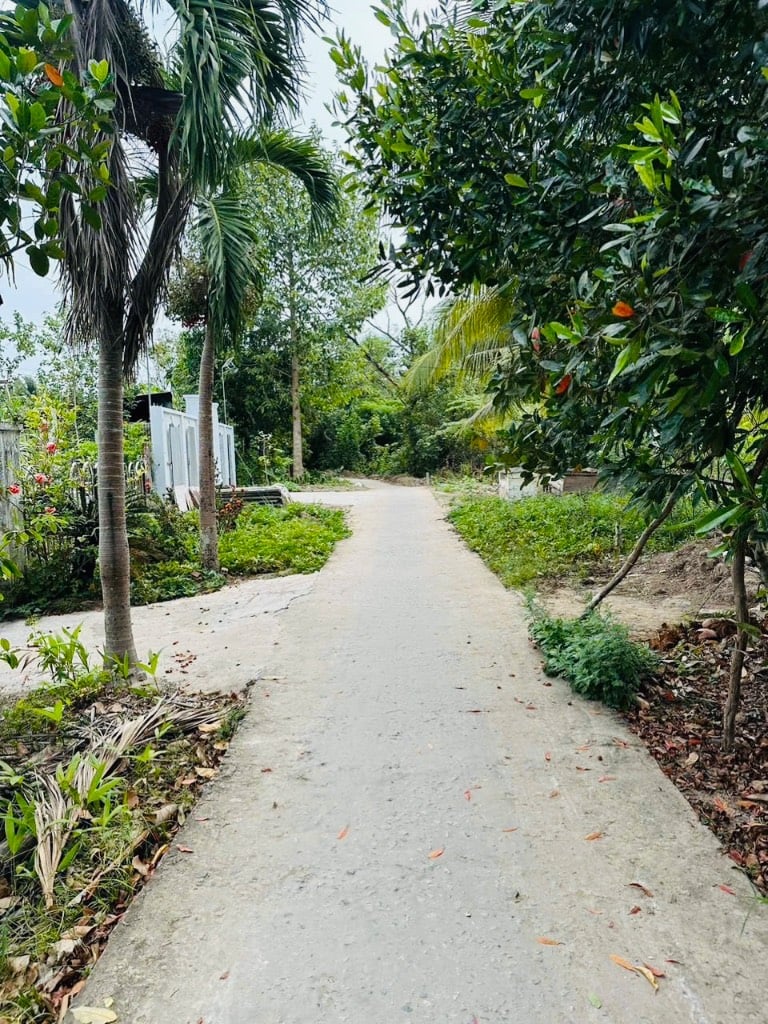 chủ ngộp bán gấp 770tr/500m2 đất gần cầu ba láng cái răng