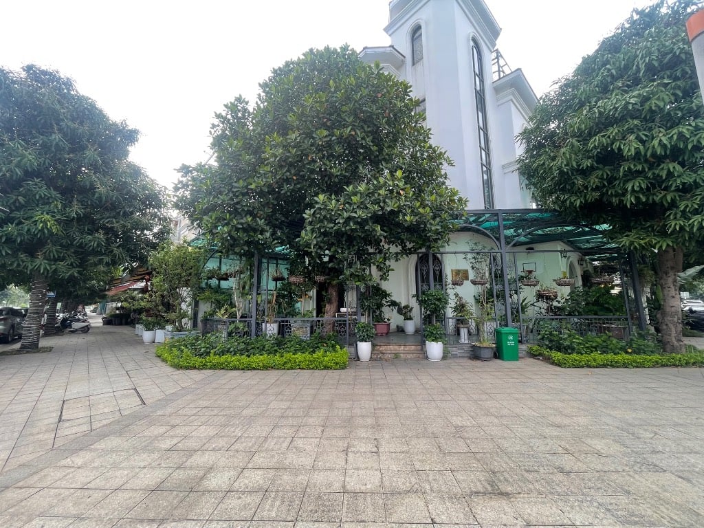 BÁN GẤP BIỆT THỰ SONG LẬP GÓC VINHOMES OCEAN PARK 1, DT 210M2 GIÁ 40 TỶ